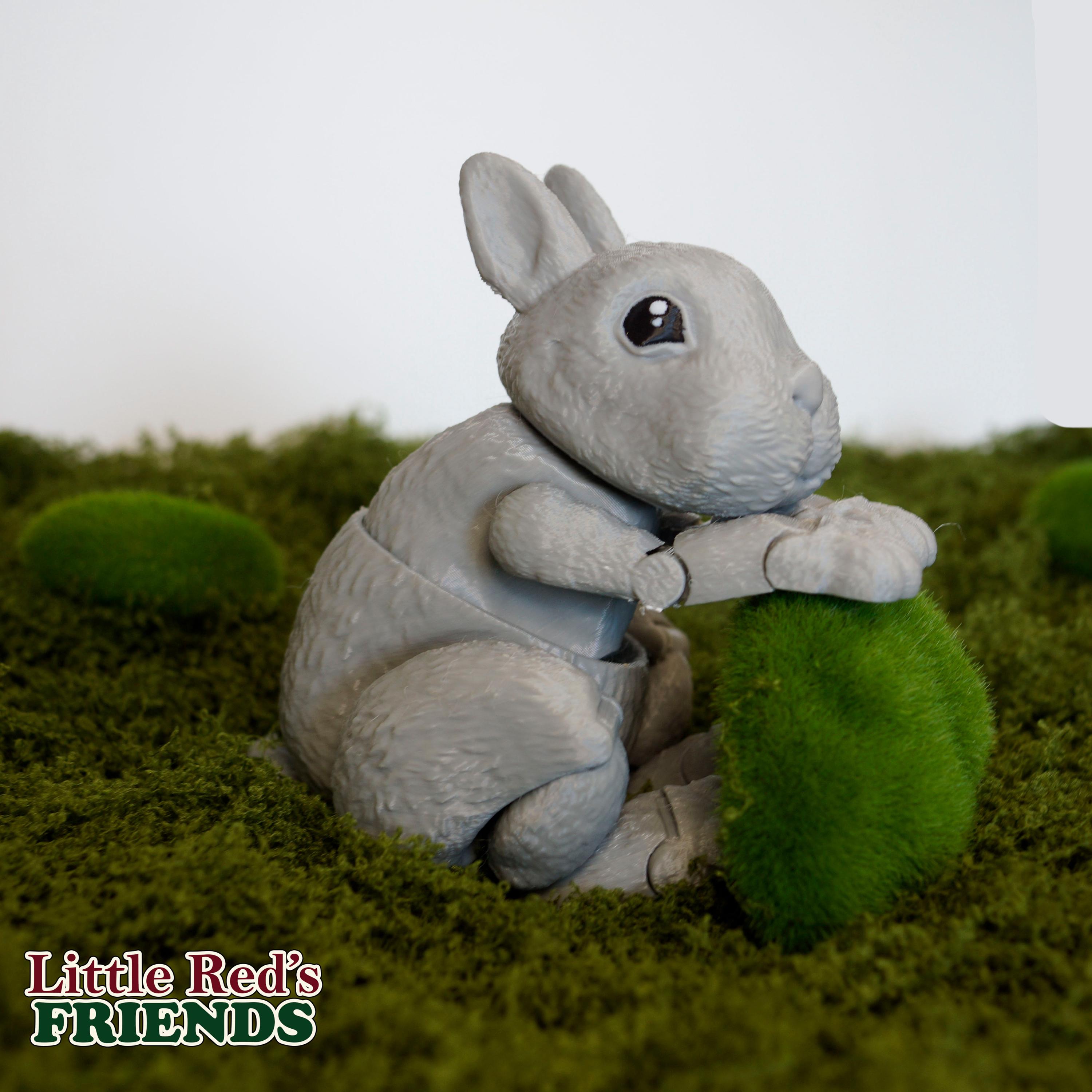Bunny Rabbit Digital .STL Files for 3d Printing, Articulated Fidget ...