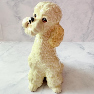 May include: A cream-colored ceramic poodle figurine in a seated position. The dog has a textured, curly coat, dark brown eyes, and a black nose. The surface of the ceramic is glossy and reflects light, highlighting the sculpted fur details.