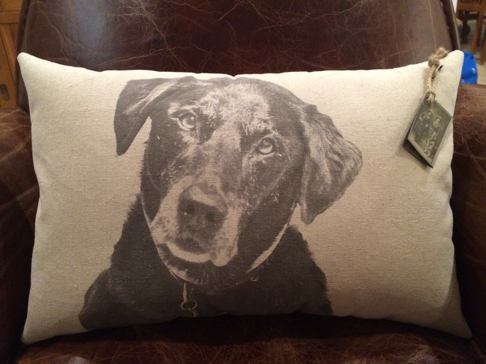 Personalized Pet Pillow on Canvas Etsy