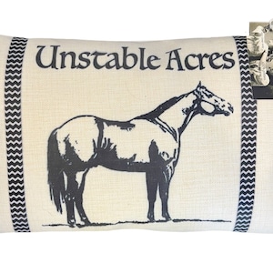 Personalized Ranch, Farm or Horse Pillow | Decorative Throw Pillow | Complete with Insert or Cover Only