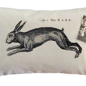 Decorative Pillow with Vintage Easter Hare | Rabbit Image | Spring | Decorative Throw Pillow | Complete with Insert or Cover Only