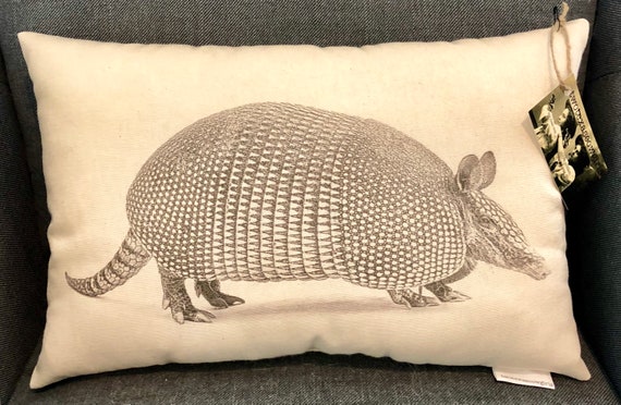 armadillo pillow pet