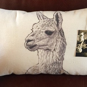 Alpaca Pillow | Slim | Decorative Throw Pillow | Complete with Insert or Cover Only