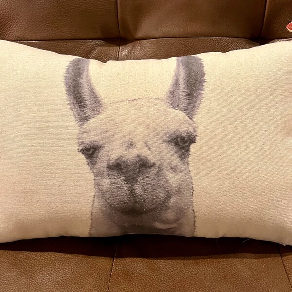 Extra Large Nursing Pillow - Llama Land