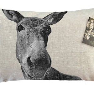 Donkey Pillow | Elmer | Decorative Throw Pillow | Complete with Insert or Cover Only