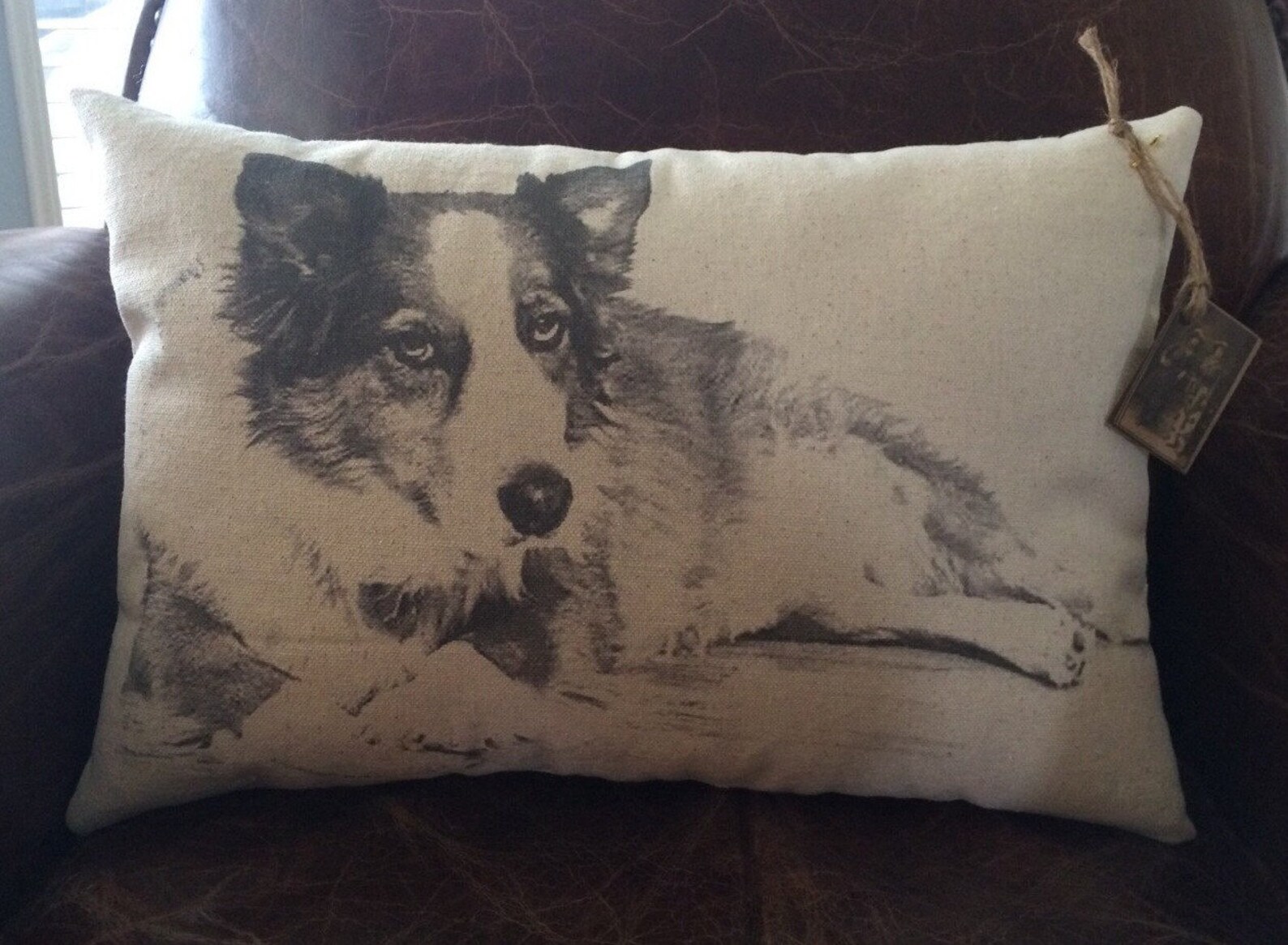 Personalized Pet Pillow on Canvas Etsy