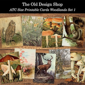 Afdrukbare ATC Woodland Animals Junk Journal Cards Cardmaking Supply Neutral Ephemera Mini Papers Digitale Download JPG-bestand Set 1