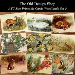 Afdrukbare ATC Woodland Animals Junk Journal Cards Cardmaking Supply Neutral Ephemera Mini Papers Digitale Download JPG-bestand Set 2