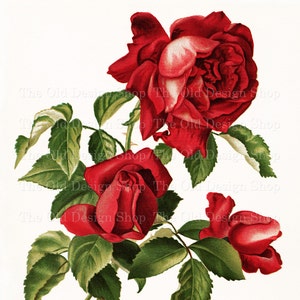 Red Rose Clipart for Junk Journals Cardmaking Supply Printable Ephemera Vintage Flower Graphics Commercial Use Digital Download JPG File