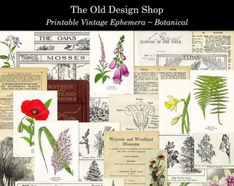 Junk Journal Kit Printable Botanical Ephemera Cardmaking Supply Vintage Graphics Old Book Pages Full Commercial Use Digital Ephemera