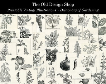 Botanical Clip Art Dictionary of Gardening Printable Vintage Garden llustrations Digital Download Collage Sheets