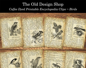 Printable Coffee Dyed Bird ATC Cards for Junk Journals Cardmaking Supply Encyclopedia Clips Ephemera Mini Papers Digital Download JPG File