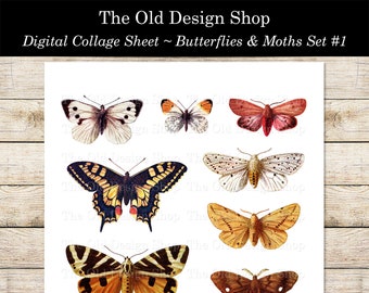 Printable Butterfly Clip Art Set 1 Vintage Illustrations Commercial Use Digital Die Cuts Instant Download