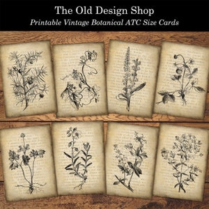 Junk Journal Botanical Journal Cards Afdrukbare Journal Ephemera Cardmaking Supply Neutral Ephemera Mini Papers Digitale Download JPG