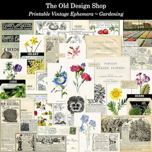 Éphémères de jardinage imprimables graphiques botaniques vintage illustrations de fleurs et de légumes de jardin publicités dans des magazines téléchargement numérique