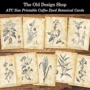 Junk Journal afdrukbare botanische kaarten koffie geverfd papier Botanical Journal kortstondige kaarten maken levering Shabby leeftijd Tags Instant Download