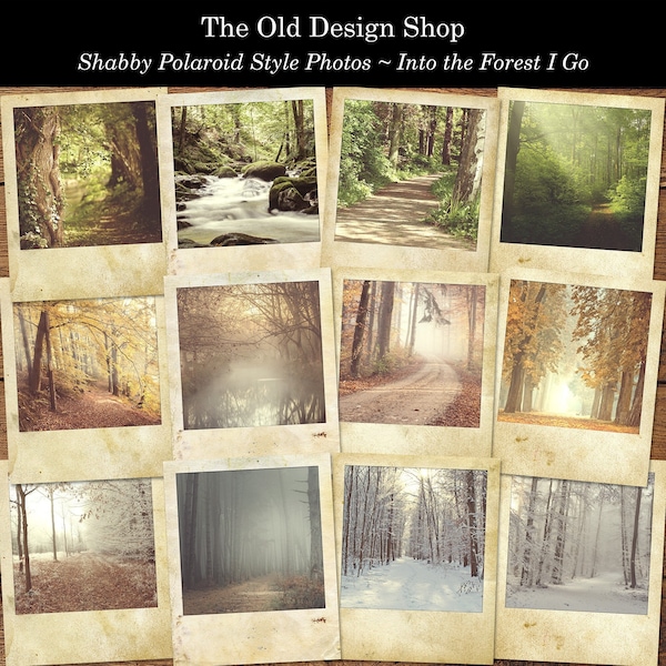 Printable Forest Pictures Vintage Polaroid Style Retro Photos Woods Woodlands Ephemera Junk Journal Cardmaking Supply Digital Download JPG