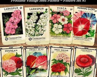 印刷可能な医療薬局用ヴィンテージ毒物ラベルセット1、ジャンク