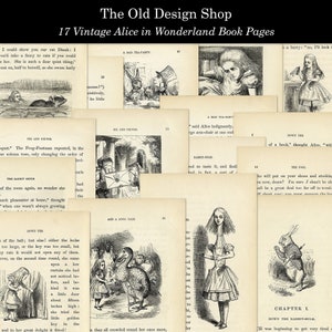 Alice in Wonderland afdrukbare boekpagina's Vintage Alice Graphics voor ongewenste tijdschriften Cardmaking Supply Commercieel gebruik Digitale download JPG