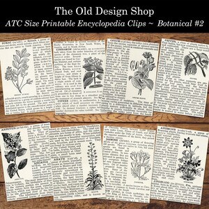 Set #2 Botanische Vintage Enzyklopädie Clips Druckbare Karten im ATC-Format Digitaler Download Collage Sheet sowie individuelle Dateien enthalten