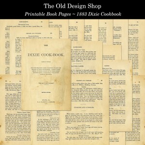 May include: A collection of vintage cookbook pages from the 1883 Dixie Cookbook. The pages are yellowed with age and feature handwritten recipes for cakes, cookies, and pastries. The text includes titles such as "Cake Making", "Layer Cakes", "Cookies and Jumbles", and "Pastry".
