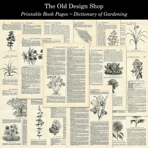 Páginas imprimibles de libros antiguos de diccionario de jardinería para manualidades, collage, técnica mixta, descarga digital, formato JPG