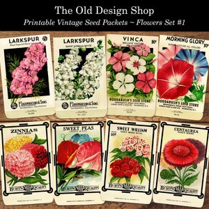 Vintage Flower Seed Packets Set 1 Commercial Use Printable JPG Digital Collage Sheet and Individual PNG Images