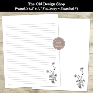 Papelería para escribir cartas con plantas botánicas, papelería imprimible para amigos por correspondencia, con y sin líneas, tamaño carta de 8,5 x 11 pulgadas, descarga digital en archivo PDF