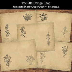 Paquet de pages de signature imprimables pour le journal indésirable Shabby Botanical Paper Pack ainsi que des pages d'arrière-plan unies et lignées assorties en téléchargement numérique des fichiers JPG
