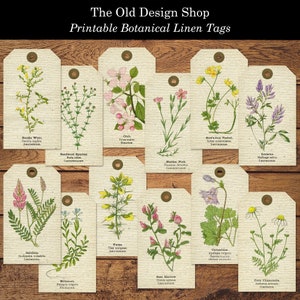 Junk Journal Efemere Afdrukbare Botanische Linnen Tags Voorraad Kaarten Maken Junk Journal Supply Digitale Scrapbooking Bloemenelementen