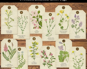 Junk Journal Ephemera Printable Botanical Linen Tags Cardmaking Supply Junk Journal Supply Digital Scrapbooking Floral Elements