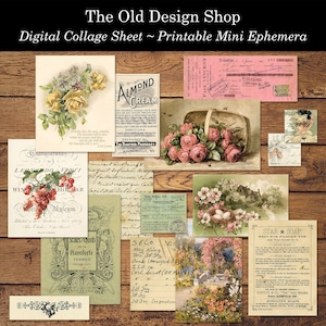 Efímeras imprimibles para diarios basura, suministros para hacer tarjetas, efímeras manuscritas, clipart femenino, gráficos florales vintage, descarga digital JPG