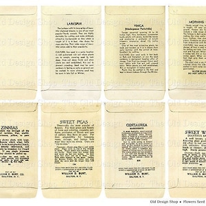 Druckbare Seed Packet Backs Blumen Vintage Garten Grafiken Neutrale Ephemera für Junk Journals Kartenherstellung Versorgung Digitaler Download JPG Format