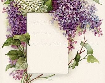 Vintage Lilac Bouquet Printable White Purple Lilacs Frame Blank Label Floral Illustration Commercial Use Digital Download JPG Image