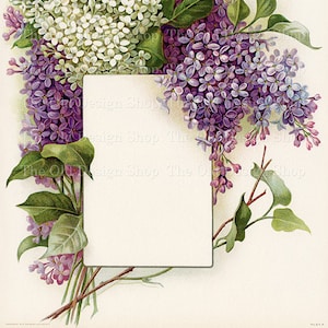 Bouquet de lilas vintage imprimable lilas violet blanc cadre étiquette vierge Illustration florale usage commercial Image JPG en téléchargement numérique