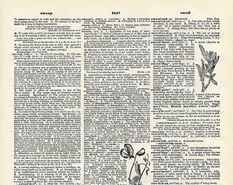 Vintage Dictionary Page Print, 1906 Book Art, Words: Sweep Sweepstakes Sweet Sweetheart, Digital Download