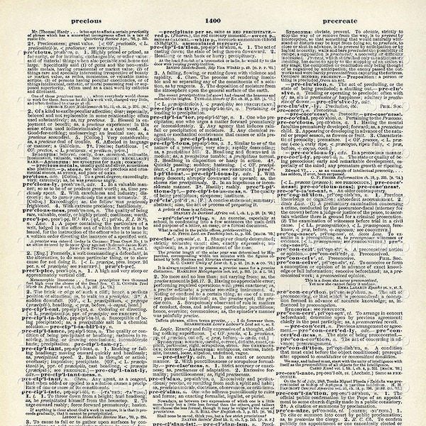 Druckbare Wörterbuch Seite Precious Precipitation Precise Vintage Book Sheet Kommerzielle Nutzung Digitaler Download JPG Format