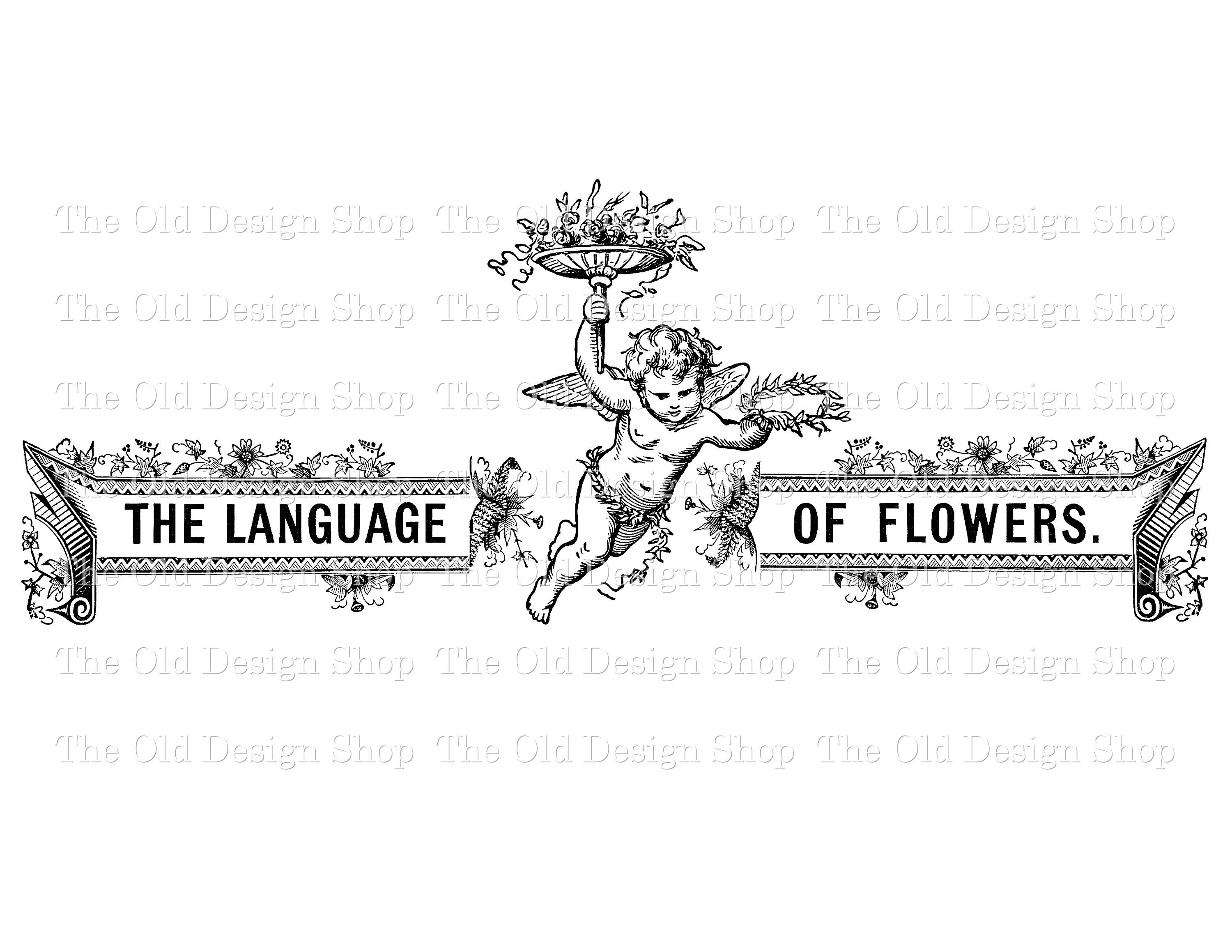 Language Arts Clipart Black And White