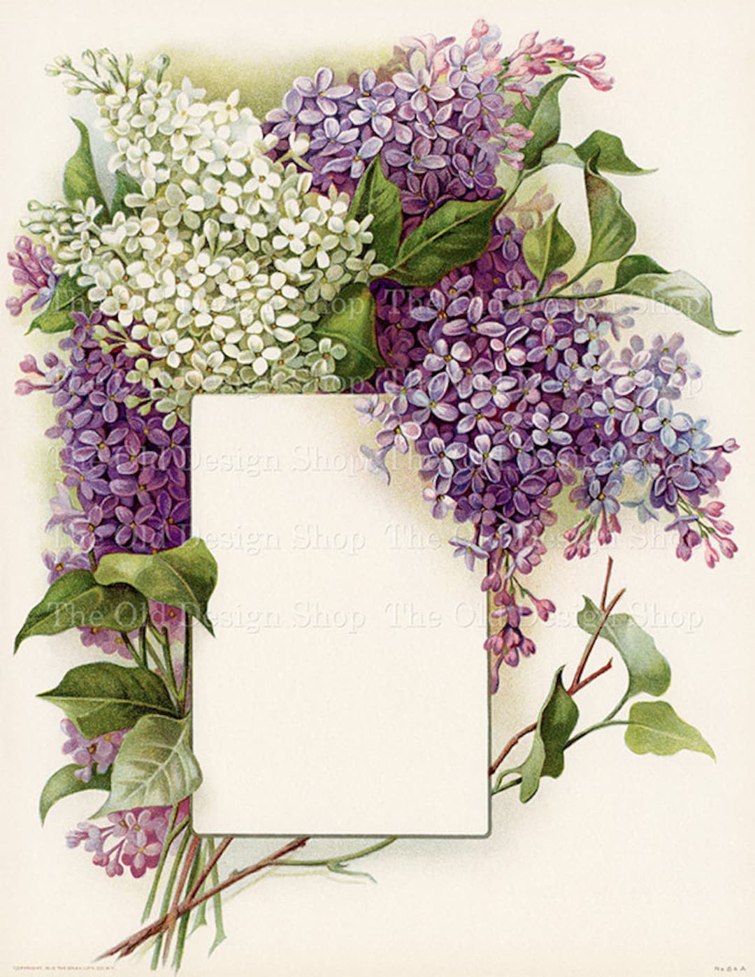 Vintage Lilac Bouquet Printable White Purple Lilacs Frame Blank Label