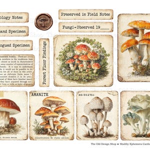 May include: A collection of vintage-style ephemera cards featuring illustrations of various mushrooms. The cards include text such as "Mycology Notes," "Woodland Specimen," and "Amanite." The color palette is primarily earthy tones with a distressed aesthetic.