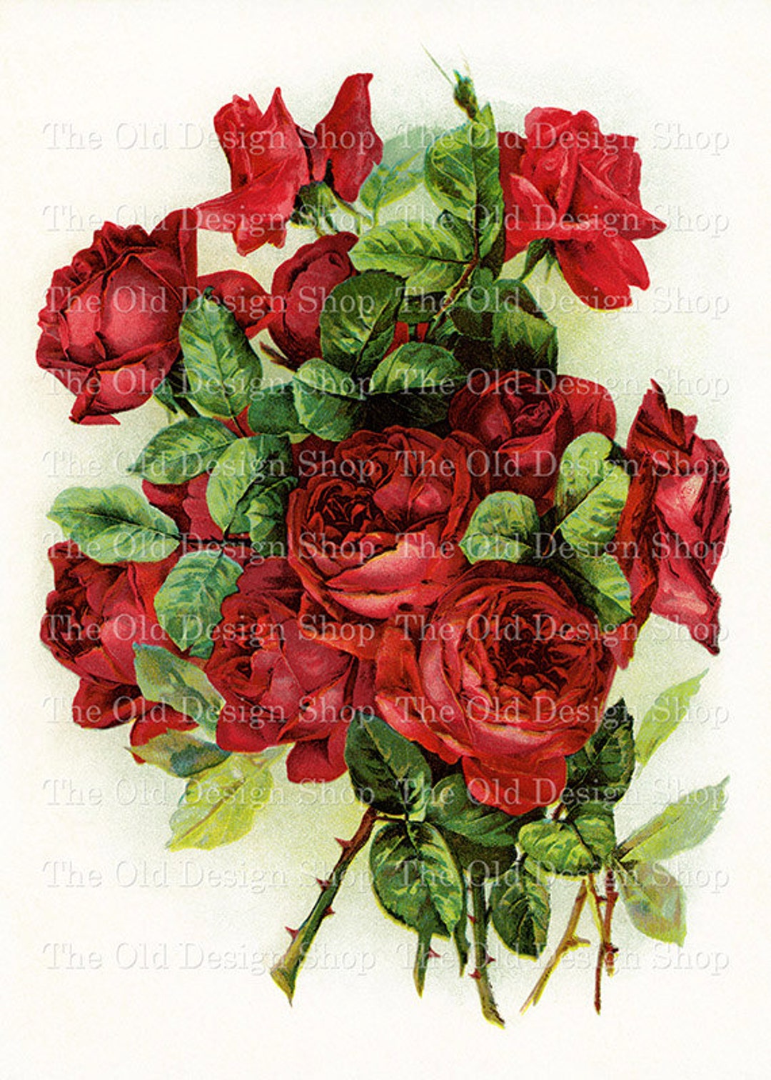 Copy Art Roses Red Rose Clipart for Junk Journals Cardmaking Supply Vintage Rose ...