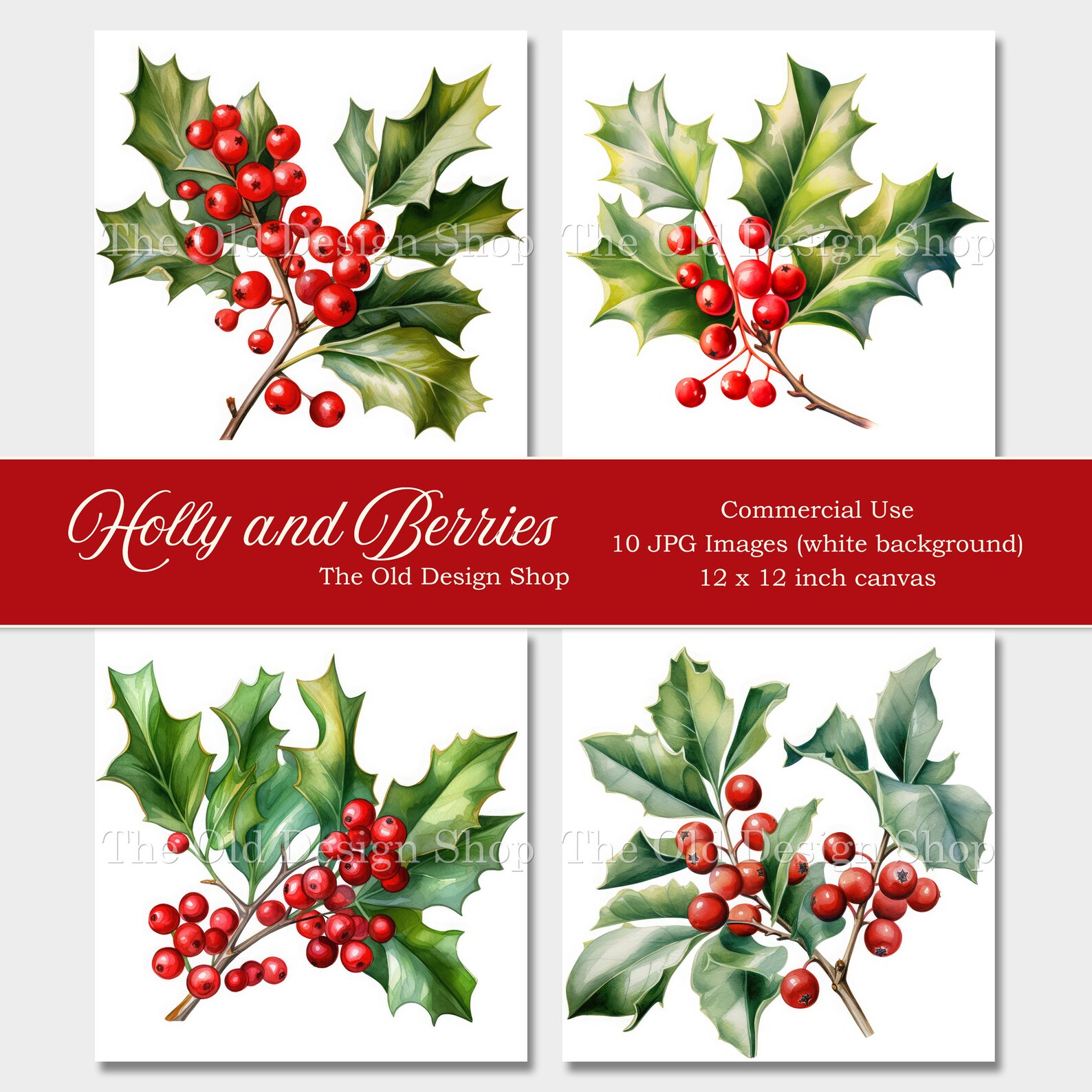 Holly and Berries Clipart for Cardmaking Sublimation Transfer Vintage ...