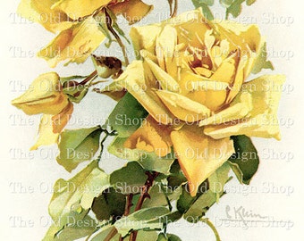 Yellow Rose Clipart for Cardmaking Junk Journal Printable Vintage Flower Graphics Catherine Klein Rose Commercial Use Digital Download JPG