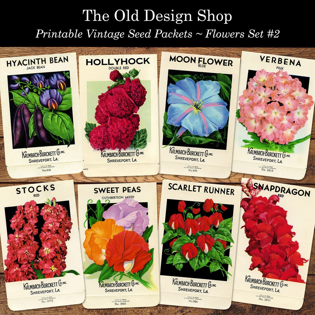 Vintage Flower Seed Packets Set 2 Commercial Use Printable JPG Digital
