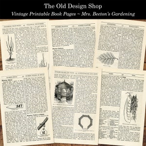 May include: Vintage book pages featuring illustrations and text on gardening, covering topics such as flower culture, fruit trees, summer houses, and peas. The pages are printed in black and white with detailed illustrations.