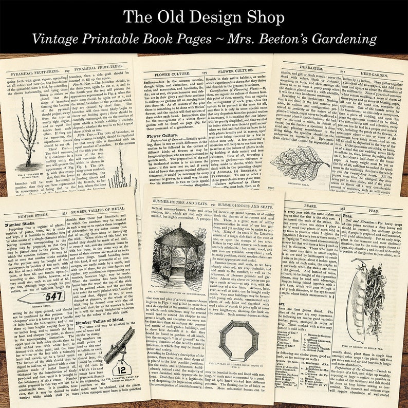 May include: Vintage book pages featuring illustrations and text on gardening, covering topics such as flower culture, fruit trees, summer houses, and peas. The pages are printed in black and white with detailed illustrations.