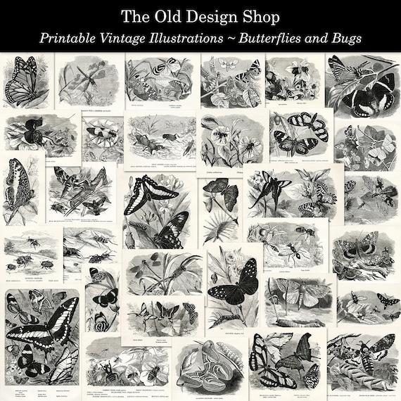 Butterfly Clipart Printable Vintage Graphics for Junk Journal Supply Cardmaking Supply Full Commercial Use High Resolution JPG Format