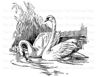 Swans Clipart Vintage Graphics Sublimation Transfer Ink Saver Swan for Cardmaking Junk Journal Commercial Use PNG File Digital Download