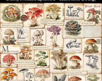 Shabby Mushroom Ephemera Printable Set Vintage Fungi Mycology Cards Botanical Junk Journal Kit