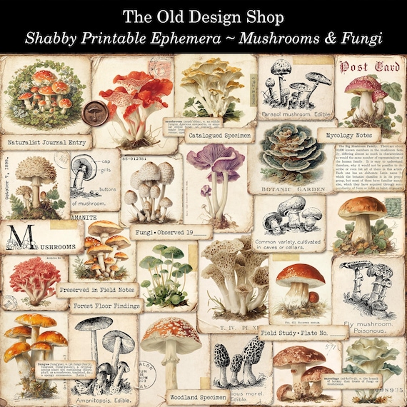 Shabby Mushroom Ephemera Printable Set Vintage Fungi Mycology Cards Botanical Junk Journal Kit